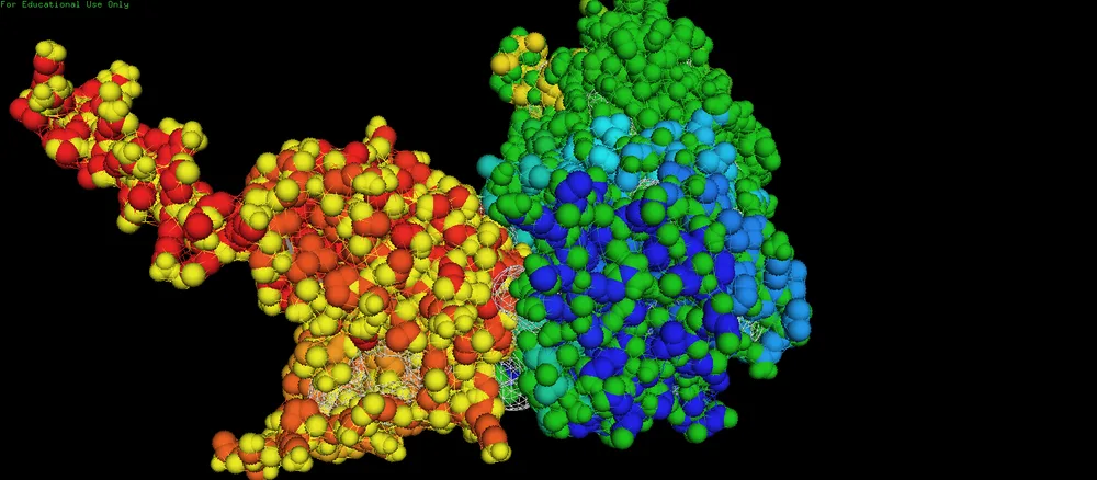 This picture indicates docking model of anti-PCSK9-ScFv to PCSK9 enzyme. Docking was done using HADDOCK server. (The HADDOCK2.4 web server: A leap forward in integrative modelling of biomolecular complexes. Nature Prot., 19, 3219–3241 (2024).
