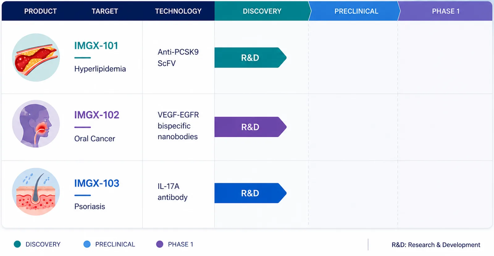 IMGENEX therapeutics pipeline chart showing IMGX-101, IMGX-102, and IMGX-103 in Discovery R&D stage